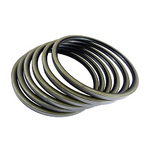Rotary Seal SA